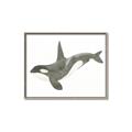Picture of Orca Whale _GroupedProduct_Rectangle_Landscape_Mini_ _GroupedProduct_Rectangle_Landscape_Canvas_Framed_