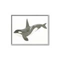 Picture of Orca Whale _GroupedProduct_Rectangle_Landscape_Mini_ _GroupedProduct_Rectangle_Landscape_Canvas_Framed_