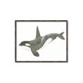 Picture of Orca Whale _GroupedProduct_Rectangle_Landscape_Mini_ _GroupedProduct_Rectangle_Landscape_Canvas_Framed_