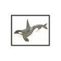 Picture of Orca Whale _GroupedProduct_Rectangle_Landscape_Mini_ _GroupedProduct_Rectangle_Landscape_Canvas_Framed_