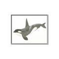 Picture of Orca Whale _GroupedProduct_Rectangle_Landscape_Mini_ _GroupedProduct_Rectangle_Landscape_Canvas_Framed_