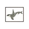 Picture of Orca Whale _GroupedProduct_Rectangle_Landscape_Mini_ _GroupedProduct_Rectangle_Landscape_Canvas_Framed_