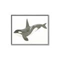 Picture of Orca Whale _GroupedProduct_Rectangle_Landscape_Mini_ _GroupedProduct_Rectangle_Landscape_Canvas_Framed_