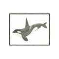 Picture of Orca Whale _GroupedProduct_Rectangle_Landscape_Mini_ _GroupedProduct_Rectangle_Landscape_Canvas_Framed_