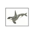 Picture of Orca Whale _GroupedProduct_Rectangle_Landscape_Mini_ _GroupedProduct_Rectangle_Landscape_Canvas_Framed_