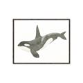 Picture of Orca Whale _GroupedProduct_Rectangle_Landscape_Mini_ _GroupedProduct_Rectangle_Landscape_Canvas_Framed_