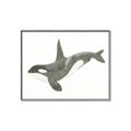 Picture of Orca Whale _GroupedProduct_Rectangle_Landscape_Mini_ _GroupedProduct_Rectangle_Landscape_Canvas_Framed_