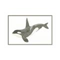 Picture of Orca Whale _GroupedProduct_Rectangle_Landscape_Mini_ _GroupedProduct_Rectangle_Landscape_Canvas_Framed_
