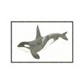 Picture of Orca Whale _GroupedProduct_Rectangle_Landscape_Mini_ _GroupedProduct_Rectangle_Landscape_Canvas_Framed_