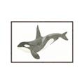 Picture of Orca Whale _GroupedProduct_Rectangle_Landscape_Mini_ _GroupedProduct_Rectangle_Landscape_Canvas_Framed_