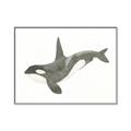 Picture of Orca Whale _GroupedProduct_Rectangle_Landscape_Mini_ _GroupedProduct_Rectangle_Landscape_Canvas_Framed_