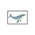 Picture of Blue Whale _GroupedProduct_Rectangle_Landscape_Mini_ _GroupedProduct_Rectangle_Landscape_Canvas_Framed_