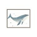 Picture of Blue Whale _GroupedProduct_Rectangle_Landscape_Mini_ _GroupedProduct_Rectangle_Landscape_Canvas_Framed_