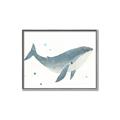 Picture of Blue Whale _GroupedProduct_Rectangle_Landscape_Mini_ _GroupedProduct_Rectangle_Landscape_Canvas_Framed_