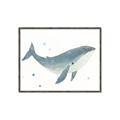 Picture of Blue Whale _GroupedProduct_Rectangle_Landscape_Mini_ _GroupedProduct_Rectangle_Landscape_Canvas_Framed_