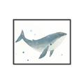 Picture of Blue Whale _GroupedProduct_Rectangle_Landscape_Mini_ _GroupedProduct_Rectangle_Landscape_Canvas_Framed_