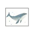 Picture of Blue Whale _GroupedProduct_Rectangle_Landscape_Mini_ _GroupedProduct_Rectangle_Landscape_Canvas_Framed_