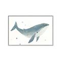 Picture of Blue Whale _GroupedProduct_Rectangle_Landscape_Mini_ _GroupedProduct_Rectangle_Landscape_Canvas_Framed_