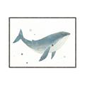 Picture of Blue Whale _GroupedProduct_Rectangle_Landscape_Mini_ _GroupedProduct_Rectangle_Landscape_Canvas_Framed_
