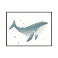 Picture of Blue Whale _GroupedProduct_Rectangle_Landscape_Mini_ _GroupedProduct_Rectangle_Landscape_Canvas_Framed_