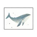 Picture of Blue Whale _GroupedProduct_Rectangle_Landscape_Mini_ _GroupedProduct_Rectangle_Landscape_Canvas_Framed_