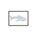 Picture of Blue Whale lll _GroupedProduct_Rectangle_Landscape_Mini_ _GroupedProduct_Rectangle_Landscape_Canvas_Framed_