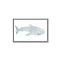 Picture of Blue Whale lll _GroupedProduct_Rectangle_Landscape_Mini_ _GroupedProduct_Rectangle_Landscape_Canvas_Framed_