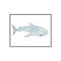 Picture of Blue Whale lll _GroupedProduct_Rectangle_Landscape_Mini_ _GroupedProduct_Rectangle_Landscape_Canvas_Framed_