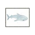 Picture of Blue Whale lll _GroupedProduct_Rectangle_Landscape_Mini_ _GroupedProduct_Rectangle_Landscape_Canvas_Framed_