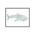 Picture of Blue Whale lll _GroupedProduct_Rectangle_Landscape_Mini_ _GroupedProduct_Rectangle_Landscape_Canvas_Framed_