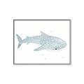 Picture of Blue Whale lll _GroupedProduct_Rectangle_Landscape_Mini_ _GroupedProduct_Rectangle_Landscape_Canvas_Framed_