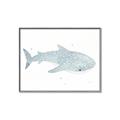 Picture of Blue Whale lll _GroupedProduct_Rectangle_Landscape_Mini_ _GroupedProduct_Rectangle_Landscape_Canvas_Framed_