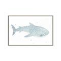 Picture of Blue Whale lll _GroupedProduct_Rectangle_Landscape_Mini_ _GroupedProduct_Rectangle_Landscape_Canvas_Framed_