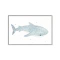 Picture of Blue Whale lll _GroupedProduct_Rectangle_Landscape_Mini_ _GroupedProduct_Rectangle_Landscape_Canvas_Framed_