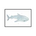 Picture of Blue Whale lll _GroupedProduct_Rectangle_Landscape_Mini_ _GroupedProduct_Rectangle_Landscape_Canvas_Framed_