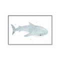 Picture of Blue Whale lll _GroupedProduct_Rectangle_Landscape_Mini_ _GroupedProduct_Rectangle_Landscape_Canvas_Framed_