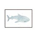Picture of Blue Whale lll _GroupedProduct_Rectangle_Landscape_Mini_ _GroupedProduct_Rectangle_Landscape_Canvas_Framed_