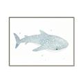 Picture of Blue Whale lll _GroupedProduct_Rectangle_Landscape_Mini_ _GroupedProduct_Rectangle_Landscape_Canvas_Framed_