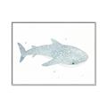 Picture of Blue Whale lll _GroupedProduct_Rectangle_Landscape_Mini_ _GroupedProduct_Rectangle_Landscape_Canvas_Framed_
