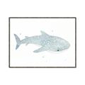 Picture of Blue Whale lll _GroupedProduct_Rectangle_Landscape_Mini_ _GroupedProduct_Rectangle_Landscape_Canvas_Framed_