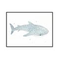 Picture of Blue Whale lll _GroupedProduct_Rectangle_Landscape_Mini_ _GroupedProduct_Rectangle_Landscape_Canvas_Framed_