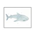 Picture of Blue Whale lll _GroupedProduct_Rectangle_Landscape_Mini_ _GroupedProduct_Rectangle_Landscape_Canvas_Framed_