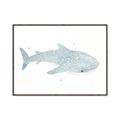 Picture of Blue Whale lll _GroupedProduct_Rectangle_Landscape_Mini_ _GroupedProduct_Rectangle_Landscape_Canvas_Framed_
