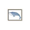Picture of Blue Whale ll _GroupedProduct_Rectangle_Landscape_Mini_ _GroupedProduct_Rectangle_Landscape_Canvas_Framed_
