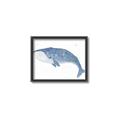 Picture of Blue Whale ll _GroupedProduct_Rectangle_Landscape_Mini_ _GroupedProduct_Rectangle_Landscape_Canvas_Framed_