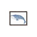 Picture of Blue Whale ll _GroupedProduct_Rectangle_Landscape_Mini_ _GroupedProduct_Rectangle_Landscape_Canvas_Framed_