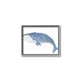 Picture of Blue Whale ll _GroupedProduct_Rectangle_Landscape_Mini_ _GroupedProduct_Rectangle_Landscape_Canvas_Framed_