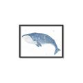 Picture of Blue Whale ll _GroupedProduct_Rectangle_Landscape_Mini_ _GroupedProduct_Rectangle_Landscape_Canvas_Framed_