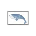 Picture of Blue Whale ll _GroupedProduct_Rectangle_Landscape_Mini_ _GroupedProduct_Rectangle_Landscape_Canvas_Framed_