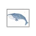 Picture of Blue Whale ll _GroupedProduct_Rectangle_Landscape_Mini_ _GroupedProduct_Rectangle_Landscape_Canvas_Framed_